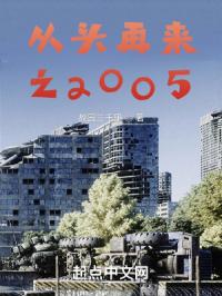 从头再来之2005